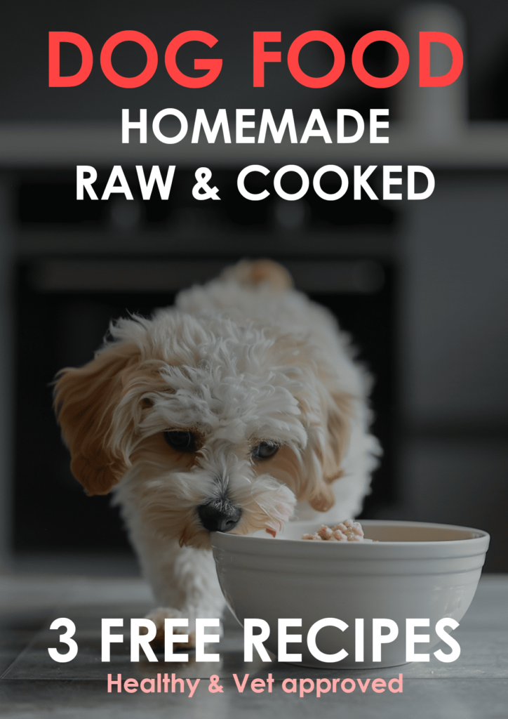 3 Free Recipes Ebook