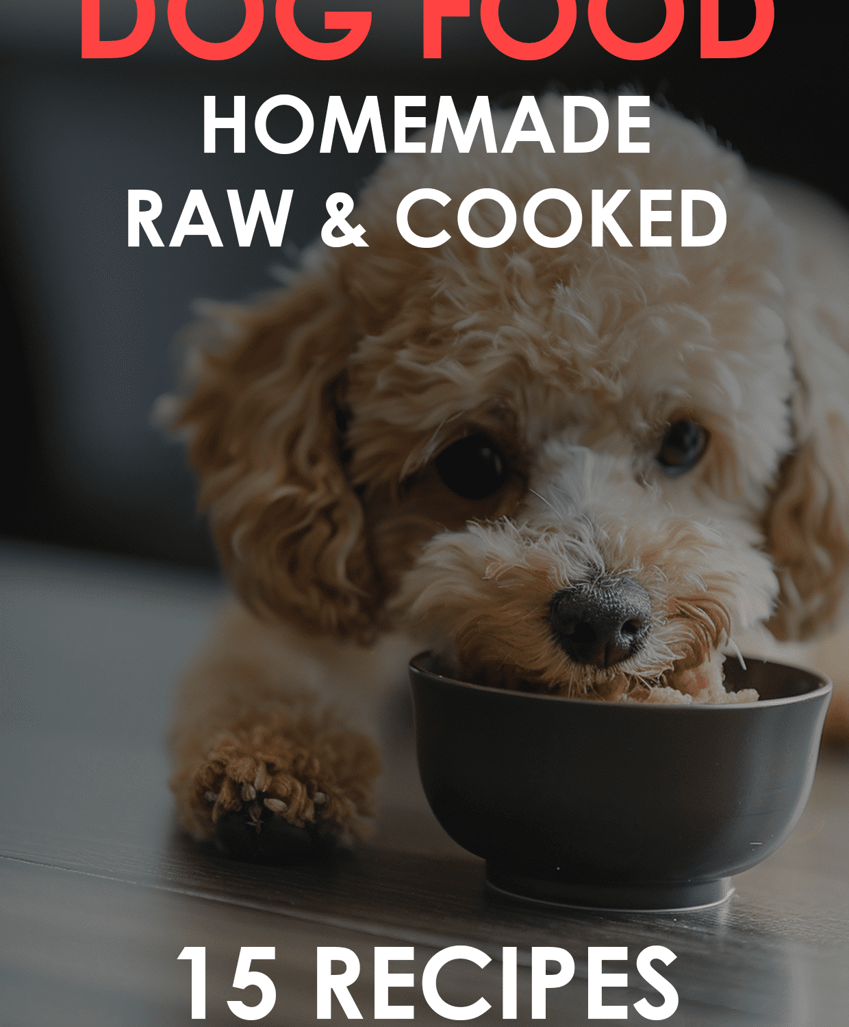 Homemade cooked and raw dog food recipes